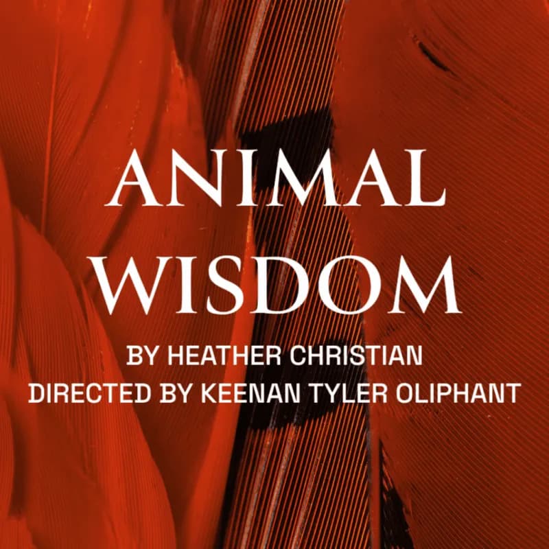 Animal Wisdom