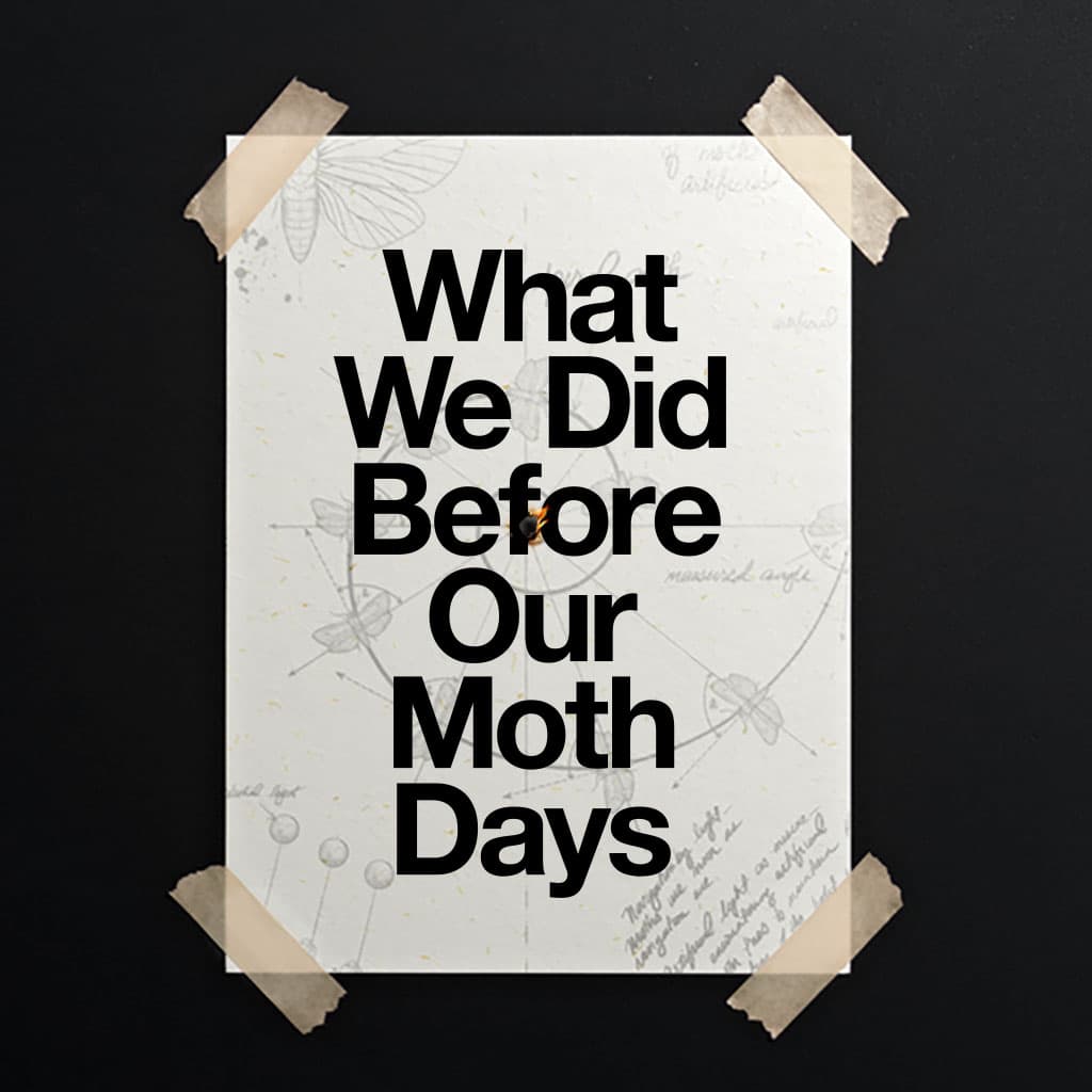 What We Did Before Our Moth Days